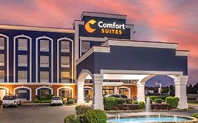 Comfort Inn Olive Branch Mississippi